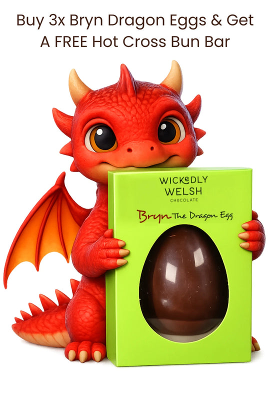 Bryn The Dragon Egg
